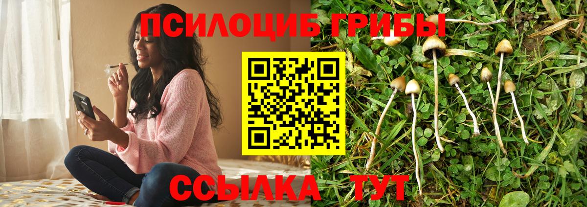 Галлюциногенные грибы ЛСД Гусев